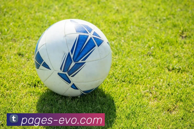 EVO视讯官网发展历程